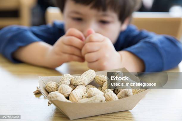 Little Boy Eating Peanuts Stock Photo - Download Image Now - Allergy, Peanut - Food, Child