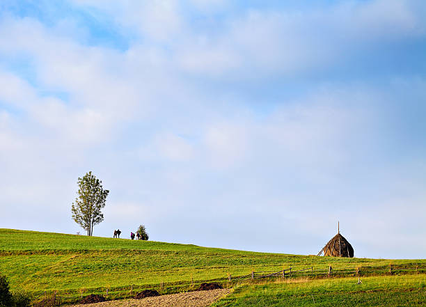 istock group of people walking on the green hil 497446252