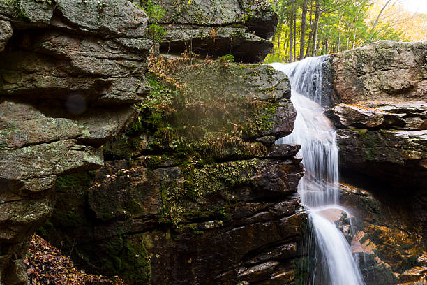 istock Close-up of Forest Waterfall 497446256