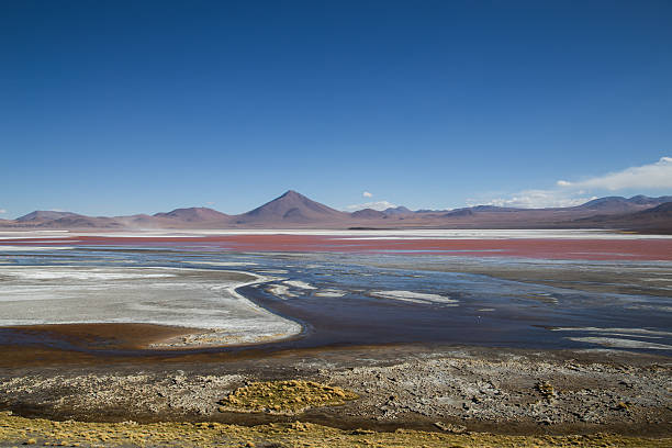 istock Laguna Colorada in Bolivia 497446464