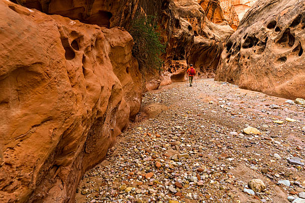 istock Hiking Red Rock Slot Canyons Utah 497446648