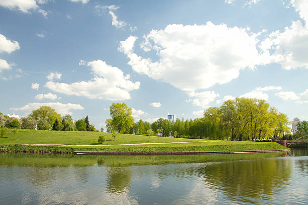 istock sky could be seen through the trees of the park 497447235
