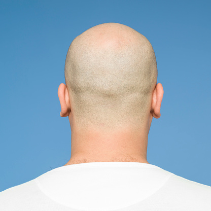 Back view of young man with bald head.Back of model's head is seen.The background is blue.Both ears are in view.Shot with medium format camera Hasselblad in studio.Top of head is completely bald while other parts are shaved. Shot in horizontal framing then edited to square.