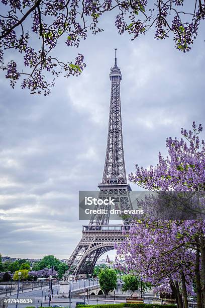 Photo libre de droit de La Tour Eiffel Avec Arbre De Printemps Fleurs Pourpre banque d'images et plus d'images libres de droit de Violet