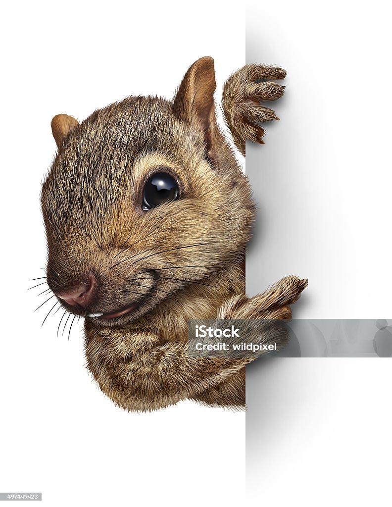 Gewöhnlicher-Schild - Lizenzfrei Eichhörnchen - Gattung Stock-Foto
