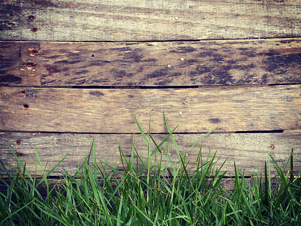 istock Wood grass background old vintage retro style 497450263