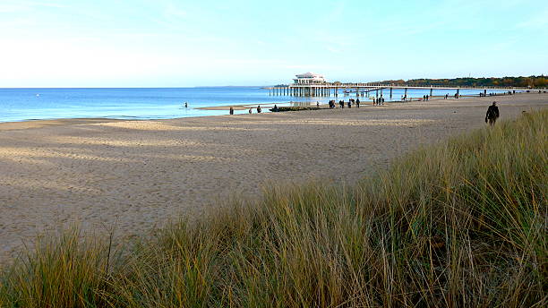 istock Day by the sea - Baltic Sea - Bild - 497450282