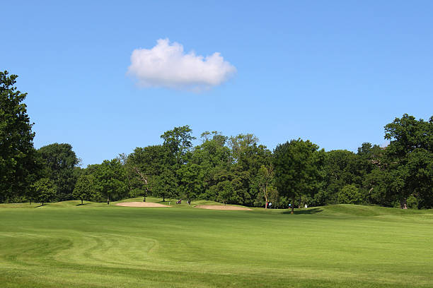 istock Golf course with green grass, trees, sandy bunkers, hazards, sky 497450579