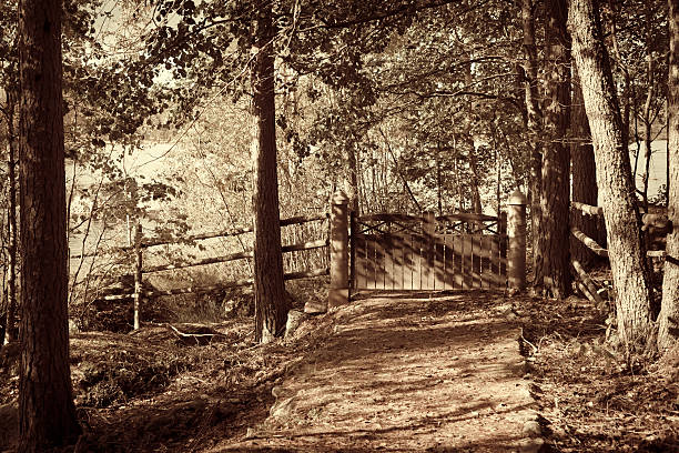 Sepia toned image of street and gate in a forest in Sweden.