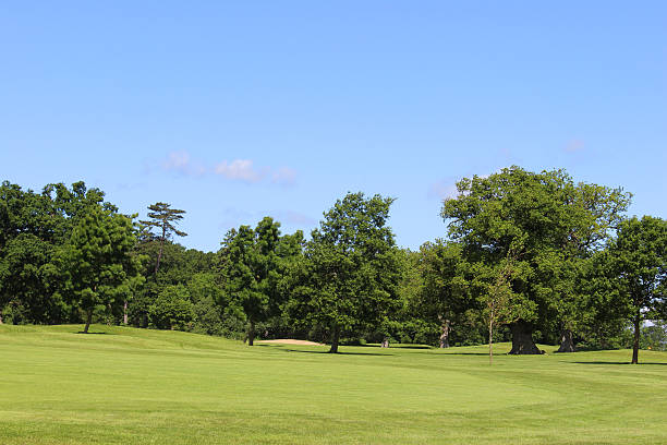 istock Golf course with green grass, trees, sandy bunkers, hazards, sky 497450747