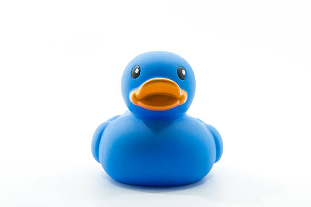 bleu canard en plastique isolé sur fond blanc - duck toy photos et images de collection