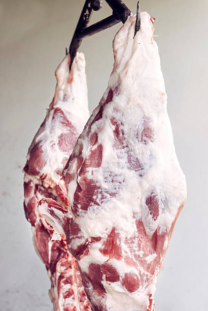 Raw pork legs Raw pork legs hanging on the wall,selective focus pork animal leg shank food stock pictures, royalty-free photos & images