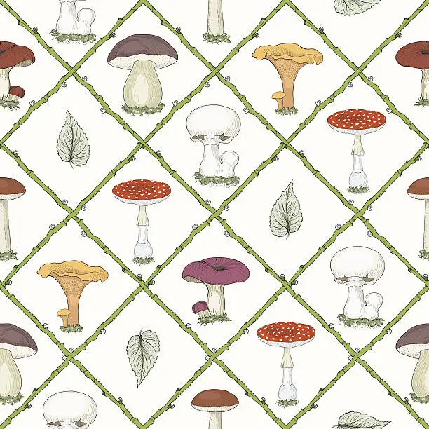Vector illustration of hand drawn mushrooms seamless pattern