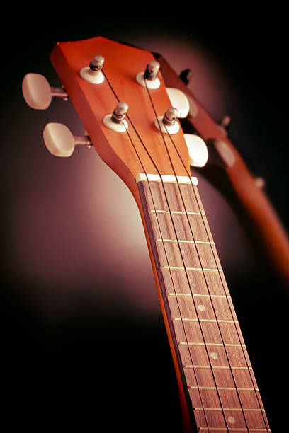 istock close up and focus at ukulele neck 497465897