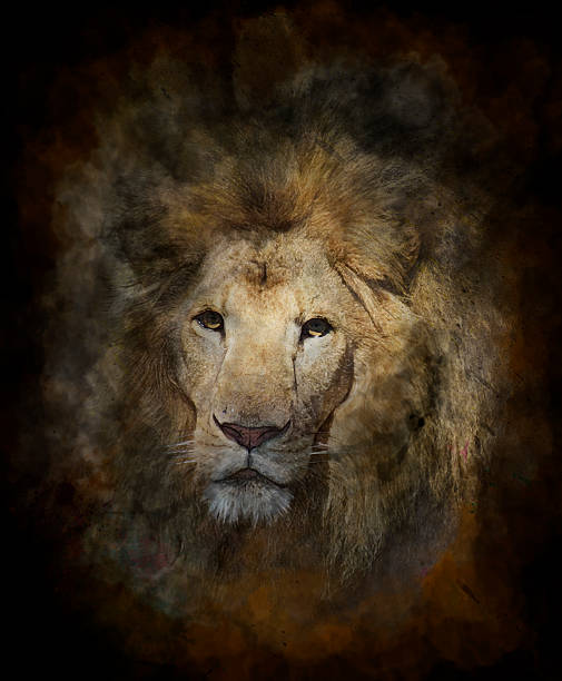 istock Watercolor Image Of Lion 497466307