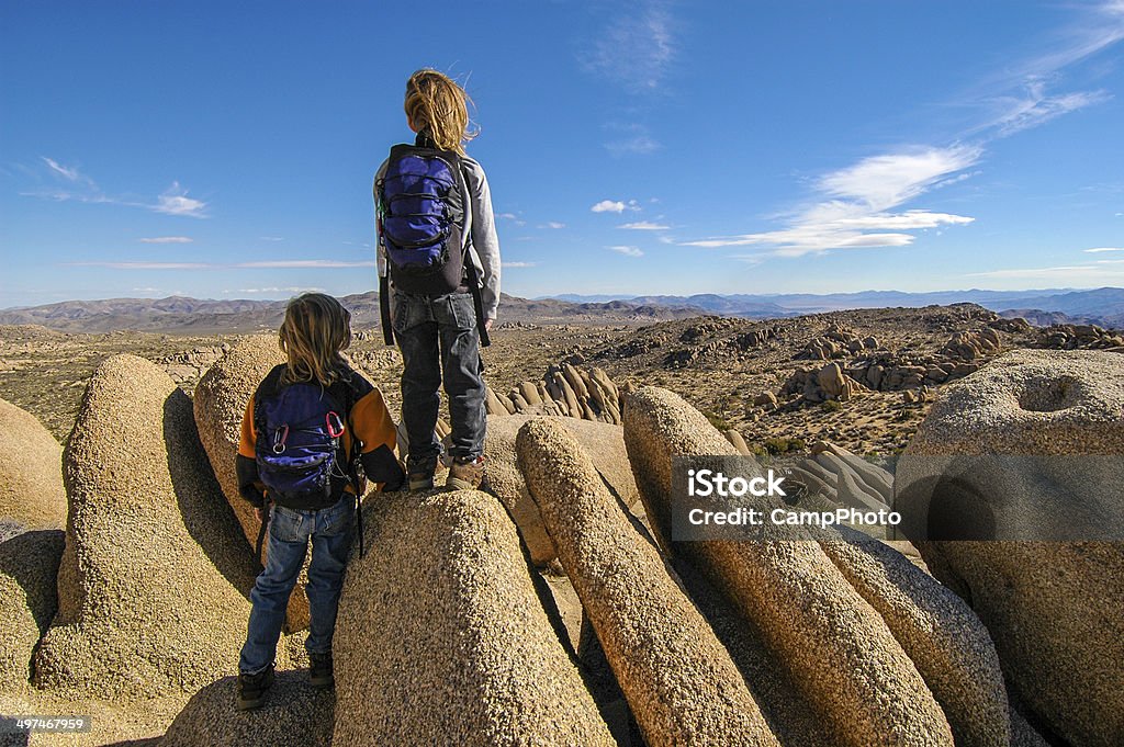 The Boys View Two young boys take in the view after a climb to the top in Joshua Tree National Park, California. Family Stock Photo