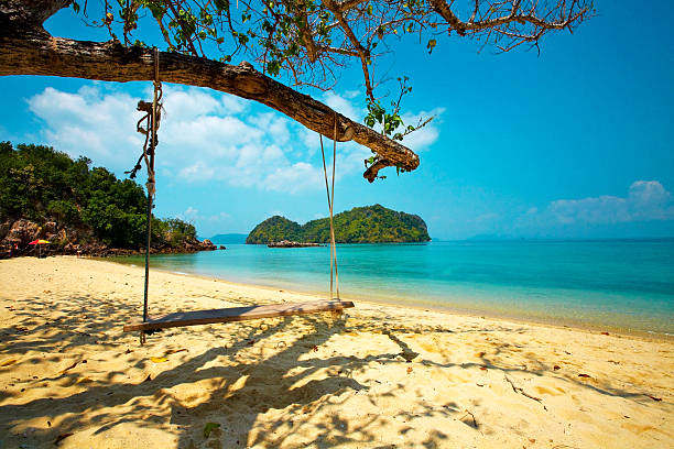 istock swing on beach and sea 497469023