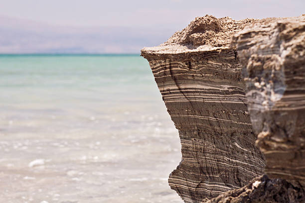 Dead Sea Mud on the coast of the Dead Sea , Israel .