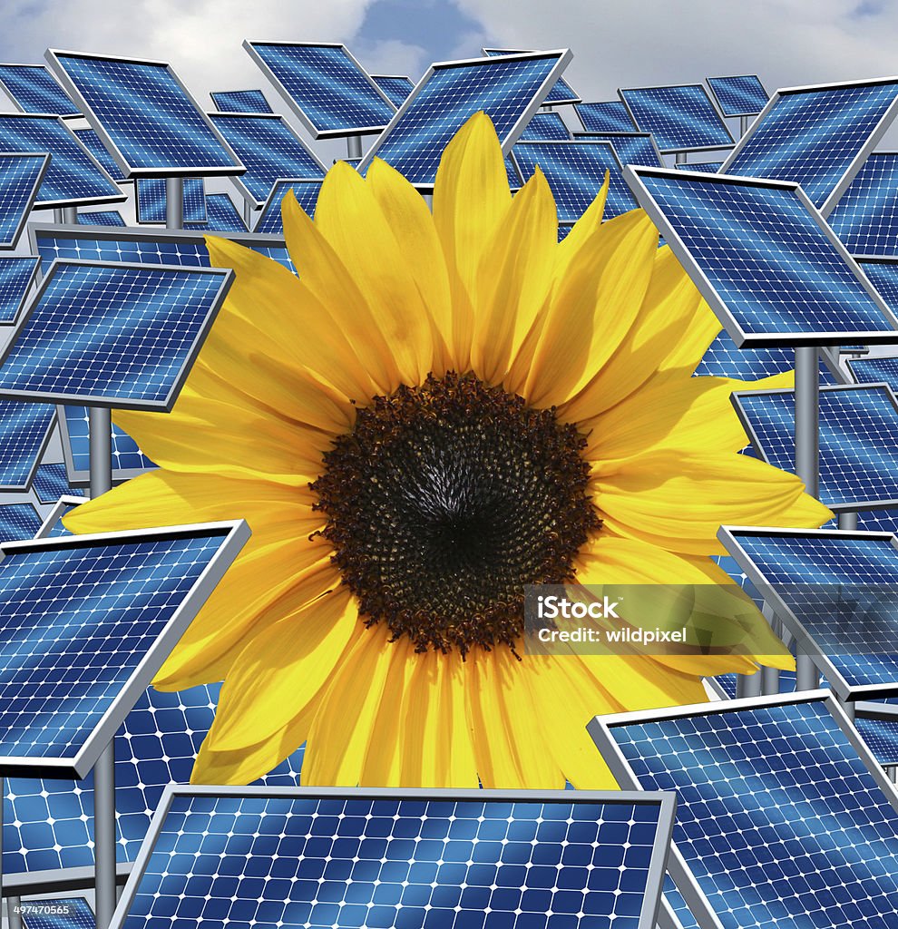 Solar Energy Solar energy concept as a group of three dimensional sunlight gathering panels with a sunflower plant as an alternative fuel symbol for environmentaly responsible electricity options using technology and natural light from the sun. Electrical Grid Stock Photo