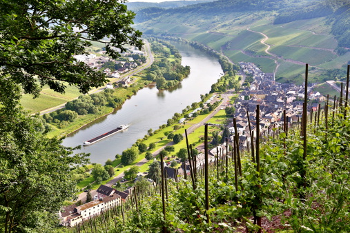 Moselle valley near Ürzig