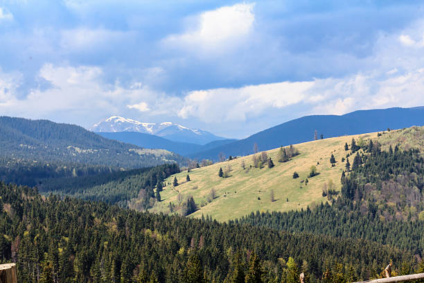 Scenic mountain landscape shot near Hoverla. Carpathian, Ukraine stock photo