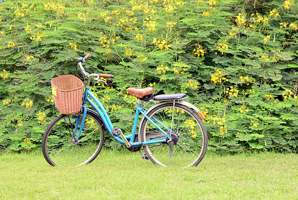 istock Vintage bicycle with flower background 497473185