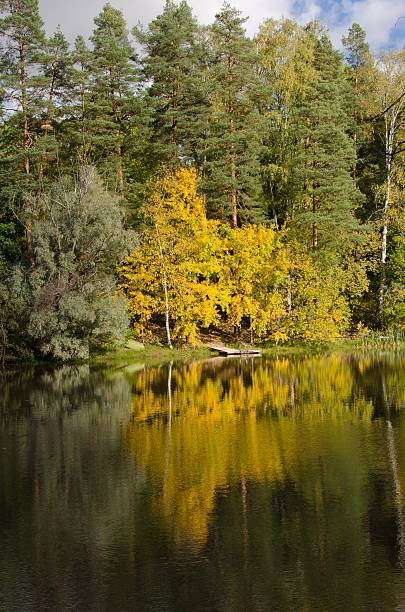 istock Autumn colour by the river 497479368