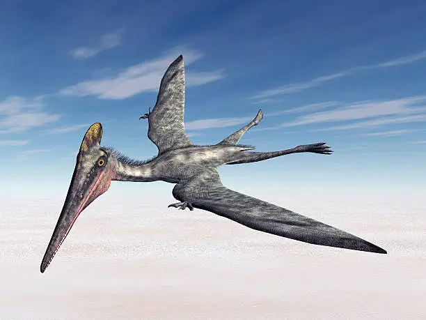 Computer generated 3D illustration with the pterosaur Pterodactylus