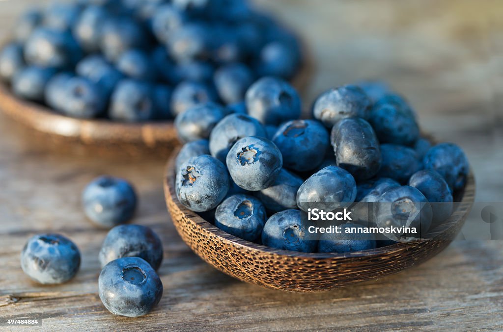 Blueberries in garden Blueberry Stock Photo