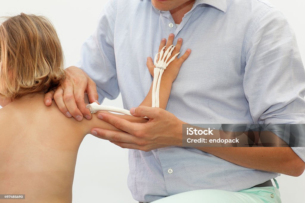 Presentation of child’s upper limb skeletal system Presentation of child’s upper limb skeletal system - anatomy lesson 2015 Stock Photo