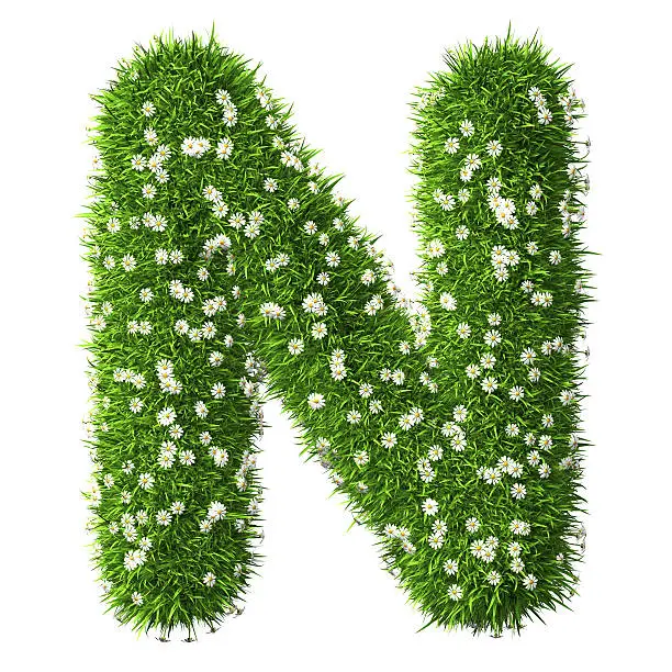 Letter N of grass and flowers. Isolated on the white background.