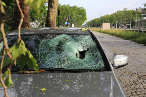 A windshield destroyed by a fallen tree trunk blown over by heavy winds.
