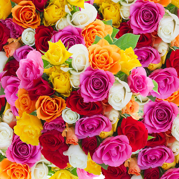 istock bouquet of fresh roses 497488500