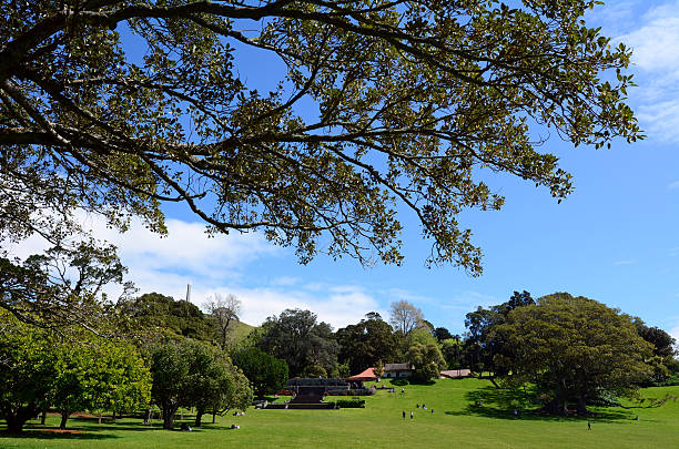 istock Cornwall Park in Auckland New Zealand 497489000