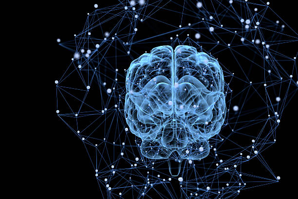 la actividad cerebral - dendrita fotografías e imágenes de stock