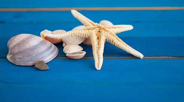 Seastar on blue wooden background