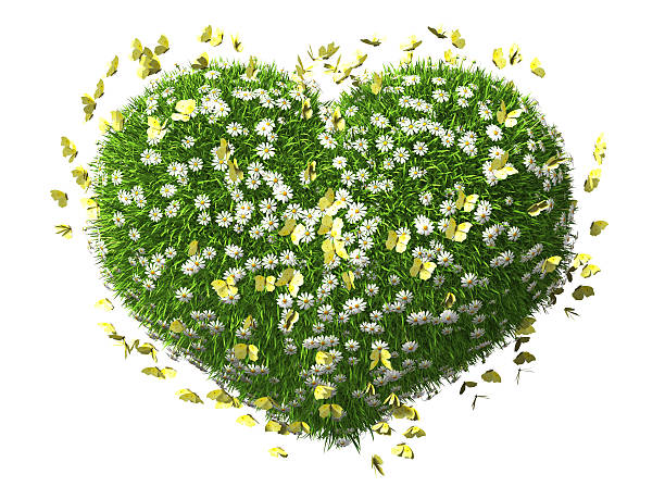 istock Heart Of Nature 497489612