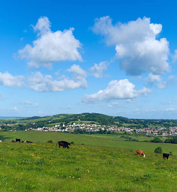 istock Brading Isle of Wight near Sandown and Shanklin 497489727