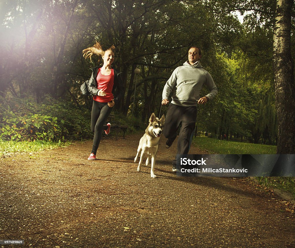 Siberian Husky with his best friends Happy family with dog, in the park Dog Stock Photo