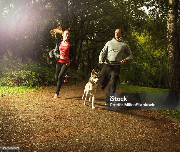 Siberian Husky With His Best Friends Stock Photo - Download Image Now - Dog, Family, Forest