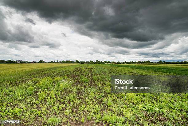 Cloudy Field Stock Photo - Download Image Now - Agricultural Field, Agriculture, Black Color