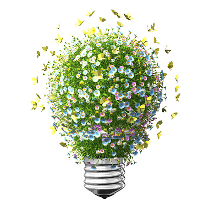 Light bulb of grass and flowers with butterflies. Isolated on white background.