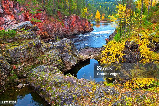 Oulanka Canyon W Jesieni - zdjęcia stockowe i więcej obrazów Brzoza - Brzoza, Bór sosnowy, Czerwony