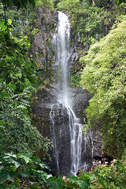 istock Wailua Falls in Maui 497491646