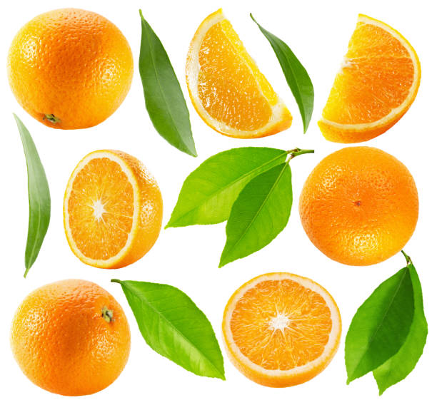 istock collection of oranges with leaves isolated on the white backgrou 497491694