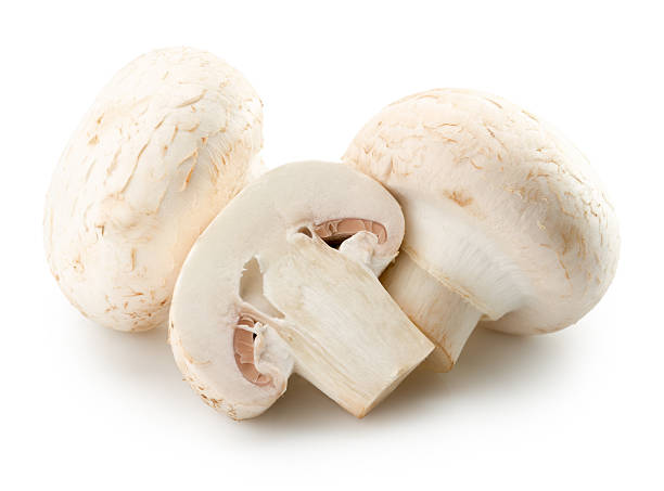 istock white mushrooms isolated on the white background 497492512