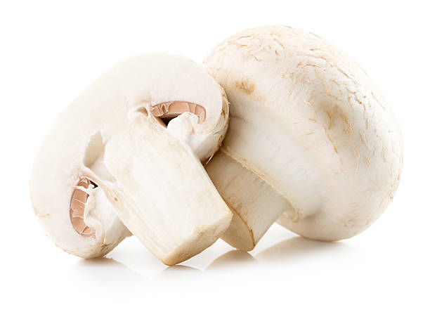 istock white mushrooms isolated on the white background 497492528