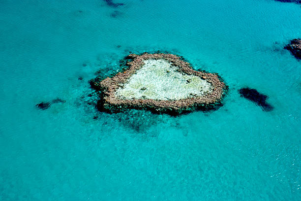 istock Heart Reef, The Great Barrier Reef, Queensland, Australia 497492587