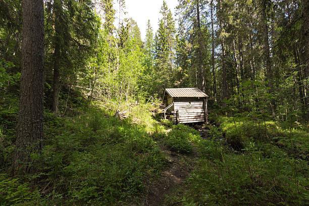 istock Old mill hit my sun beams 497492867