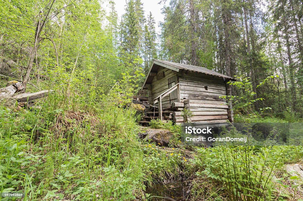 Antiguo Molino en el bosque - Foto de stock de Aire libre libre de derechos